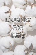 LAUNDRY FOR DAYZ Auto Diffuser