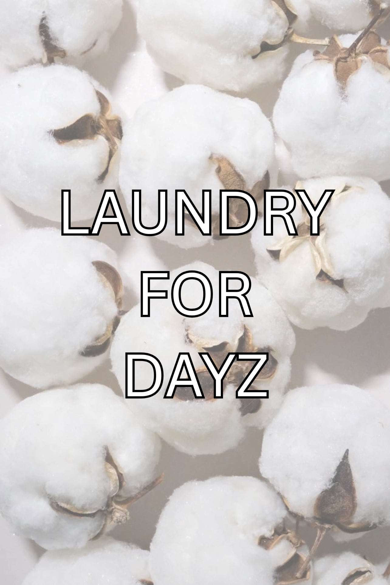 LAUNDRY FOR DAYZ Auto Diffuser