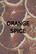 ORANGE SPICE Auto Diffuser